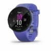 Montre Garmin Forerunner 45s Iris
