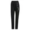 Pantalon Femme Adidas Terrex Gore-Tex Paclite