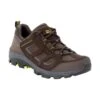 Chaussures De Randonnée Jack Wolfskin Vojo 3 Texapore Low