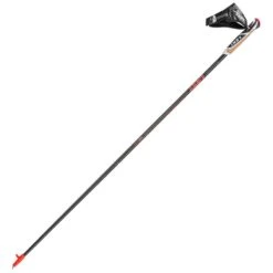 Bâtons De Marche Nordique Leki Walker Platinium